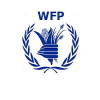 Programme Policy Officer (Livelihood & Resilience) at the United Nations World Food Programme (UN WFP)